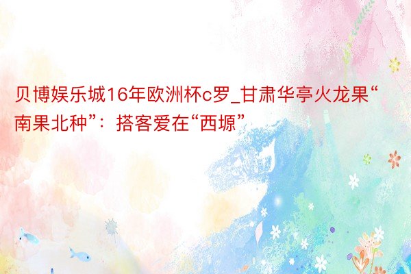 贝博娱乐城16年欧洲杯c罗_甘肃华亭火龙果“南果北种”：搭客爱在“西塬”